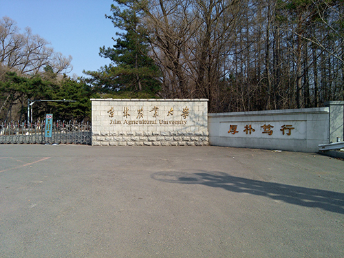 &#20061;&#28216;&#24179;&#21488;&#97;&#112;&#112;&#23448;&#32593;&#45;&#20061;&#28216;&#40;&#20013;&#22269;&#41;